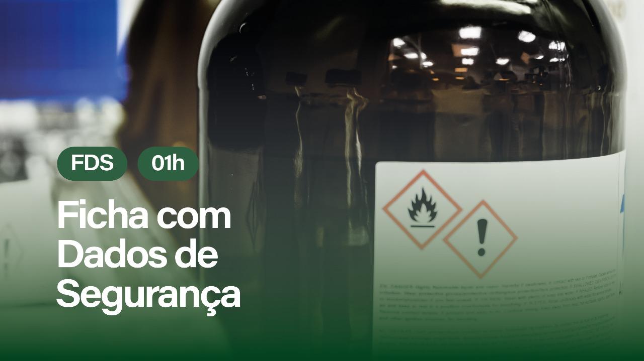 FDS - FICHA COM DADOS DE SEGURANÇA
